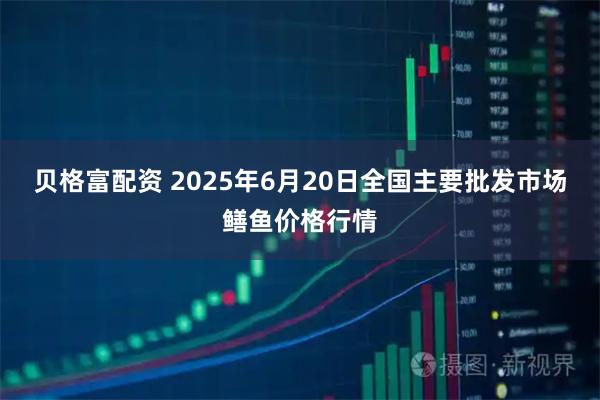 贝格富配资 2025年6月20日全国主要批发市场鳝鱼价格行情