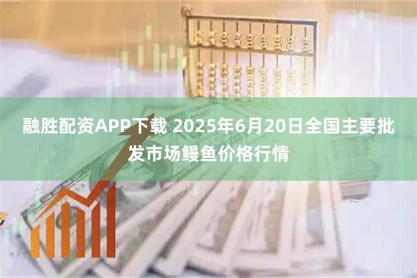融胜配资APP下载 2025年6月20日全国主要批发市场鳗鱼价格行情
